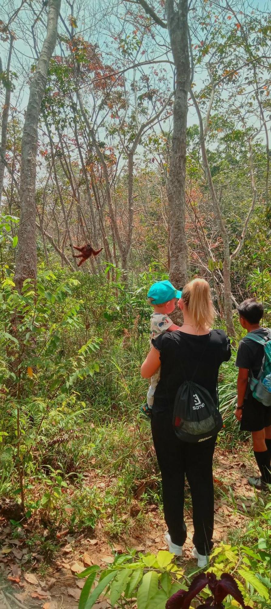 בוקיט לוואנג Eco Trekking Lodge, Bar & Jungle Tour'S מראה חיצוני תמונה