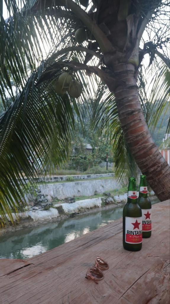 בוקיט לוואנג Eco Trekking Lodge, Bar & Jungle Tour'S מראה חיצוני תמונה
