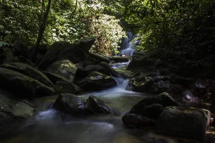 בוקיט לוואנג Eco Trekking Lodge, Bar & Jungle Tour'S מראה חיצוני תמונה