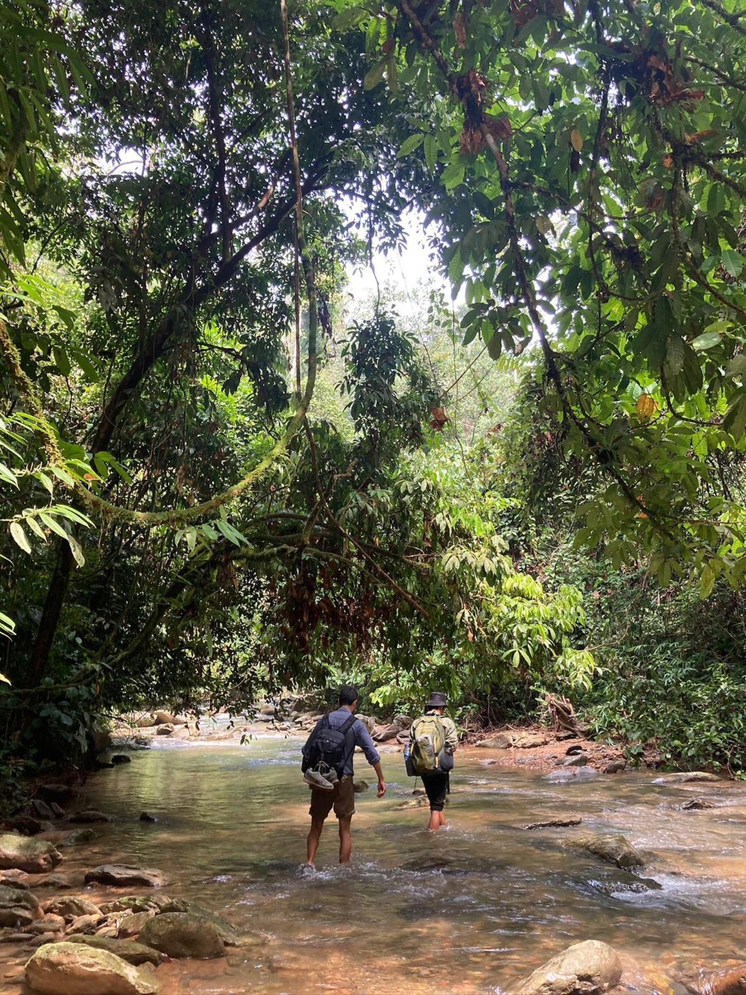 בוקיט לוואנג Eco Trekking Lodge, Bar & Jungle Tour'S מראה חיצוני תמונה
