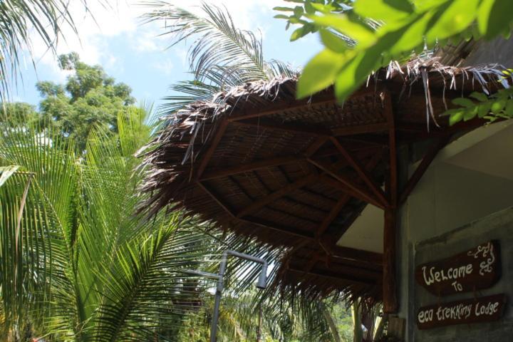 בוקיט לוואנג Eco Trekking Lodge, Bar & Jungle Tour'S מראה חיצוני תמונה